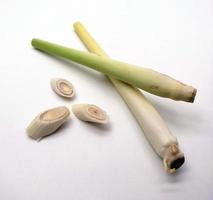 Lemongrass isolated on a white background photo