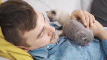 The man is asleep and the kittens are next to him. The cat loves its owner and is with him even when he is sleeping. video