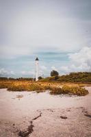 Lighthouse on the beach photo