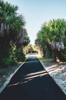 Florida nature trail photo