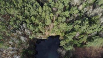 Springtime view of an old flooded quarry near the town of Lipnice nad Sazavou, Czech Republic video