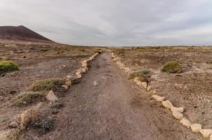 Path in the desert photo