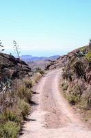 Road through the scenic landscape photo