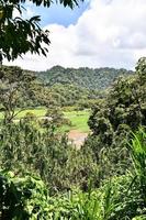 Rural landscape in Costa Rice photo