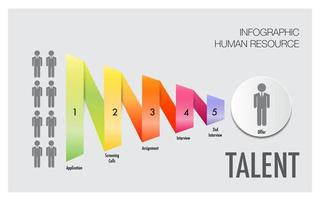 5 Stages of the hiring office talent, application, screening, assignment, interviewing, and offer template in cone shape. vector