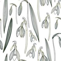 snowdrops flowers and leaves. hand-drawn seamless pattern. for fabric, clothing, background, design, wrapping paper vector