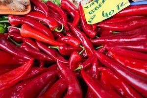 many long red hot pepper photo