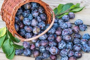 Plum harvest. Plums in a wicker basket on wooden background. Harvesting fruit from the garden.