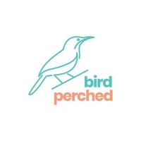 sharp beak bird exotic perched twig line art minimal modern logo design vector