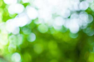 Abstract nature green bokeh from tree background,for background photo