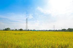 electricidad torres arroz campo con alto voltaje poder pilones campo a Tailandia