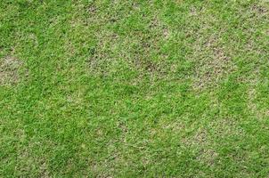 Abstract  top view green color of grass background texture ,for background photo