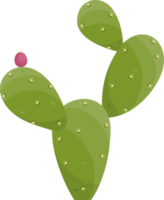 dessin animé désert cactus plante png