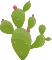 cartone animato deserto cactus pianta png