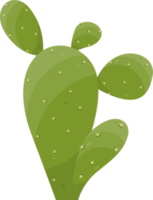 dibujos animados Desierto cactus planta png