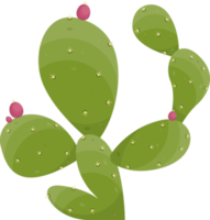 tecknad serie öken- kaktus växt png