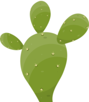 Cartoon desert cactus plant png