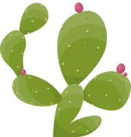 dessin animé désert cactus plante png