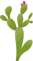 tekenfilm woestijn cactus fabriek png