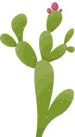 dessin animé désert cactus plante png