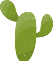 cartone animato deserto cactus pianta png