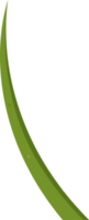 Cartoon grass leaves clip art png