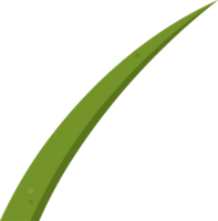 Cartoon grass leaves clip art png