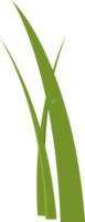 Cartoon grass leaves clip art png