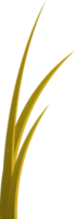 Cartoon grass leaves clip art png