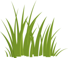 Cartoon grass leaves clip art png