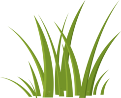 Cartoon grass leaves clip art png