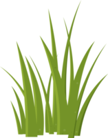 Cartoon grass leaves clip art png