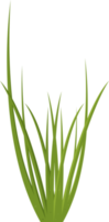 Cartoon grass leaves clip art png