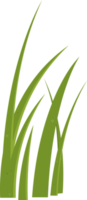 Cartoon grass leaves clip art png