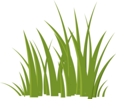 Cartoon grass leaves clip art png