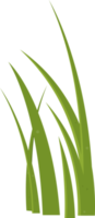 Cartoon grass leaves clip art png