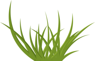 Cartoon grass leaves clip art png