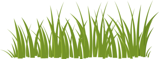 Cartoon grass leaves clip art png