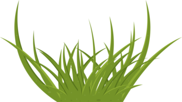 dessin animé herbe feuilles agrafe art png