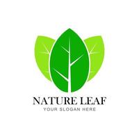 green leaf vector logo