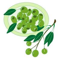 Olives berries on a branch and olive oil in bottles. vector