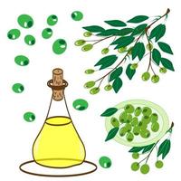 Olives berries on a branch and olive oil in bottles. vector