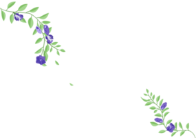 set of Foliage with Butterfly pea floral ornament illustration background png