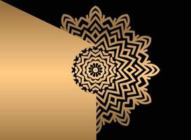 Mandala. Ethnic decorative element. Hand drawn backdrop. Islam, Arabic, Indian, ottoman motifs. vector