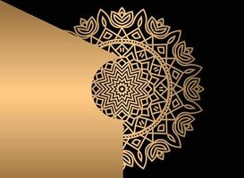 mándala étnico decorativo elemento. mano dibujado fondo. islam, Arábica, indio, otomano motivos vector