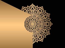 Mandala. Ethnic decorative element. Hand drawn backdrop. Islam, Arabic, Indian, ottoman motifs. vector