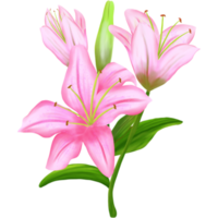 Strauß von Blumen Lilien. png