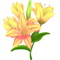 Strauß von Blumen Lilien. png