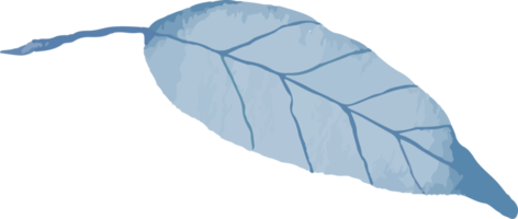 isolated watercolor illustation of blue leaf png