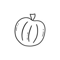 Round pumpkin doodle. Autumn harvesting. Vector isolated gourd